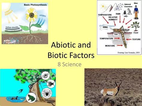 Biotic And Abiotic Factors 45 OFF Gbu Presnenskij Ru