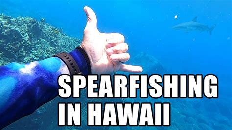 Spearfishing For Tonights Dinner On The Big Island Hawaii Life Youtube