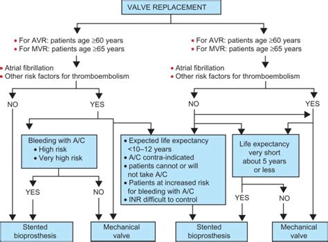 Prosthetic Aortic Valve Algorithm