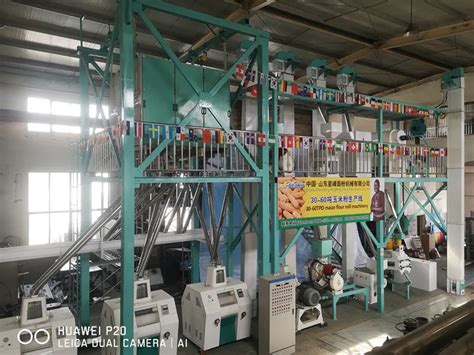 60TPD Steel Frame Maize Flour Mill Plant