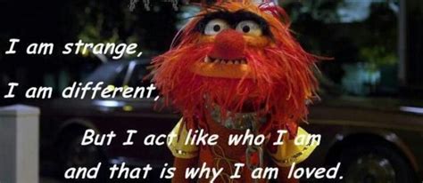 Animal Muppet Quotes. QuotesGram