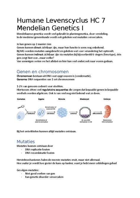 Humane Levenscyclus Hc 7 In De Moderne Geneeskunde Wordt Ook Gekeken