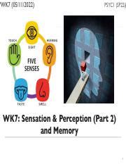 Understanding Sensation Perception And Memory In Psychology Course Hero