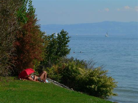 Bodensee Meine Heimat