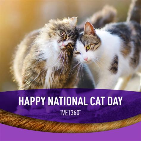 National Cat Day (October 29) – iVET360 Social Calendar