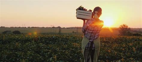 Piccola Propriet Contadina Le Agevolazioni Previste Notaio Sartori