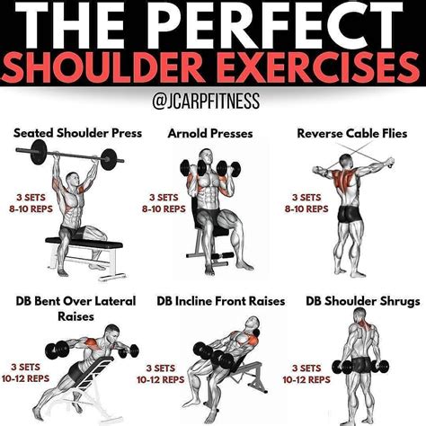 🔥the Perfect Shoulder Workout 🔥 Follo Shoulder Workout Reps And Sets Exercise