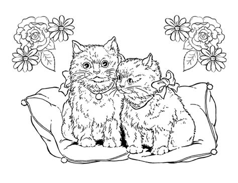 Cat Pages For Coloring