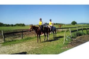 Centre équestre équitation poney club à Messey sur Grosne 71390