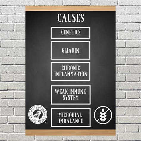 Celiac disease and gut health - immunoglobulins, toxins, inflammation ...