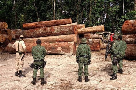 Esquema de propina no Amazonas tinha códigos como melancia guaraná