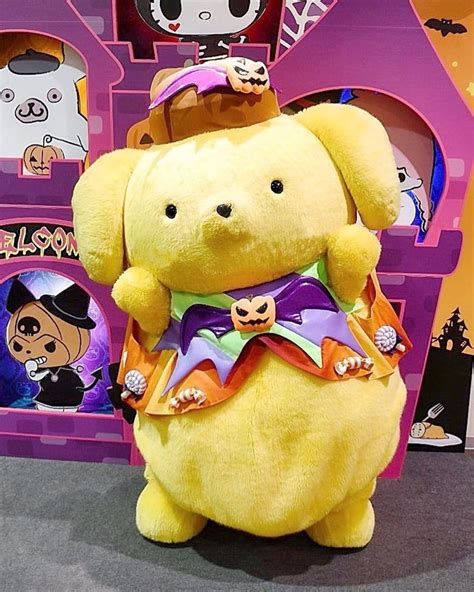 Pompompurin Sanrio Characters Hello Kitty Cute Pictures