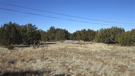 Show Low Navajo County AZ Recreational Property Homesites For Sale