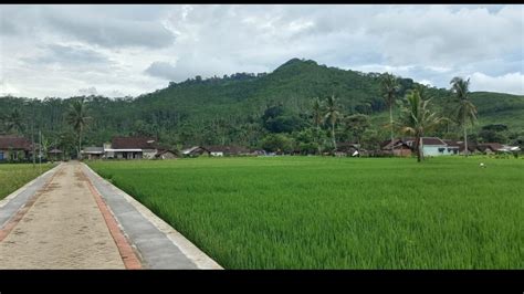 Alih Fungsi Lahan Makin Marak Banyuwangi Kebut Perda Perlindungan