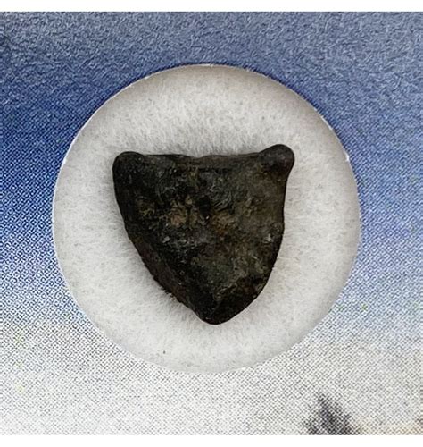 Meteorites For Sale Fossils Uk Chelyabinsk Chondrite Meteorite