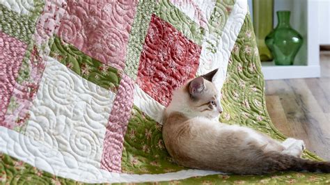 Make a "Building Blocks" Quilt with Jenny — Quilting Tutorials