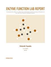 Enzyme Function Report Docx Enzyme Function Lab Report To Examine The