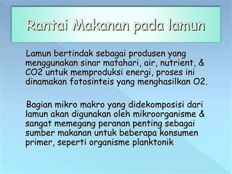 Ekosistem Padang Lamun Ppt