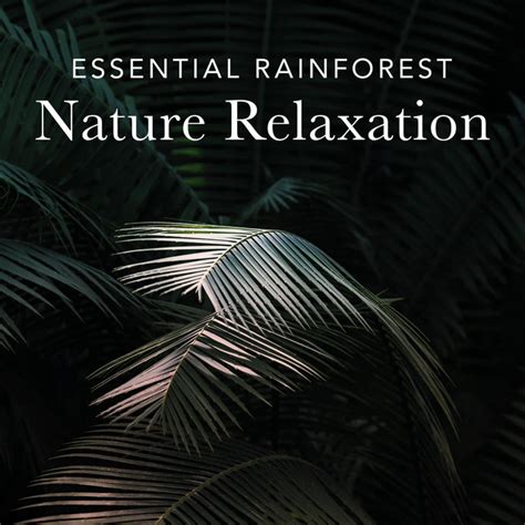 Essential Rainforest Nature Relaxation Album By Rainforest Sounds