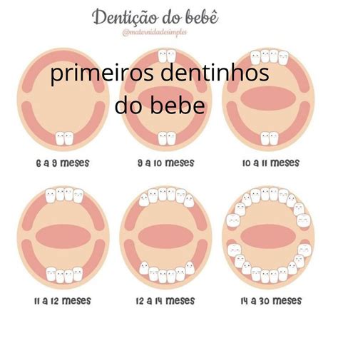 Guia Para Pais D Vidas Sobre Denti O Primeiro Dente Denti O