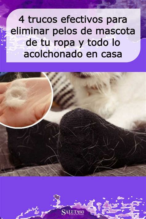 Trucos Efectivos Para Eliminar Pelos De Mascota De Tu Ropa Y Todo Lo