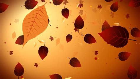 Free Fall Zoom Video Backgrounds