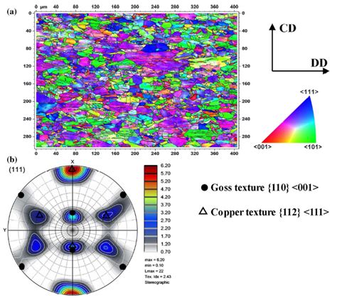 Evolution Of Annealing Twins And Recrystallization Texture In Thin