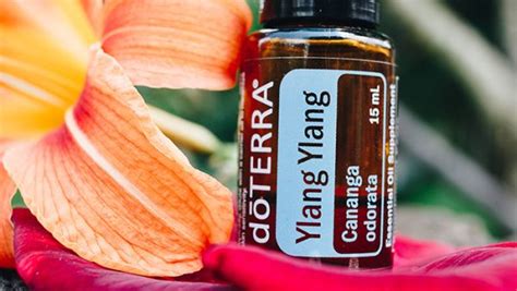 Ulei Esential Ylang Ylang Cananga Odorata 15 Ml DoTerra NATURISSIMO