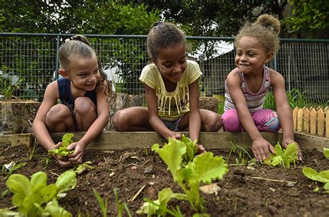 Horta coletiva será ambiente de aprendizagem Revista Rural