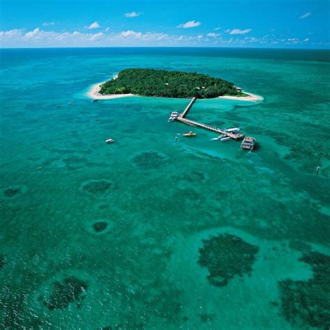 Great Barrier Reef Australiait S The Largest Living Thing On Earth