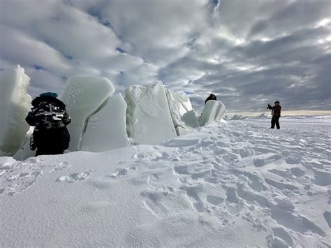 Viewing the Churchill, Manitoba Northern Lights: A True Canadian Bucket ...