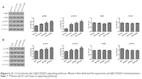 Il 17a Promotes The Malignant Progressio Biomedical Research