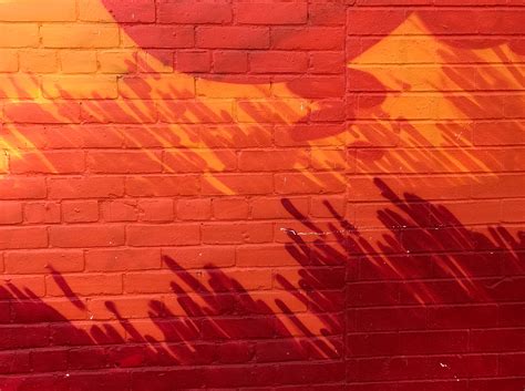 Kostenlose foto : Licht, Textur, Stock, Mauer, Orange, Muster, Linie ...