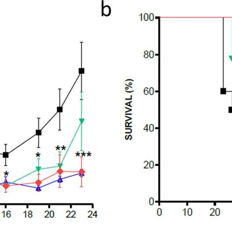 In Vivo Association Of P19arfifnβ Gene Therapy With Doxorubicin