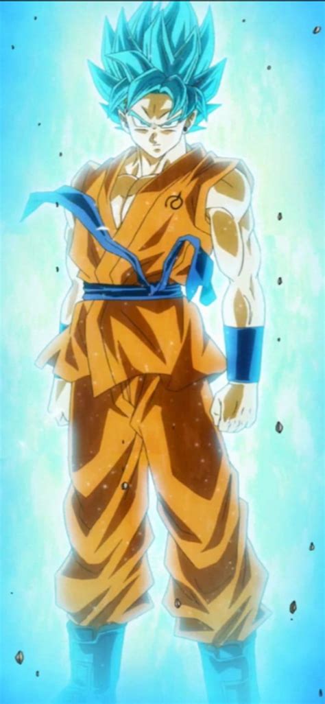 Goku Ssjb Fuul Kayia Ball Black Blue Dragon God Rose Show Son