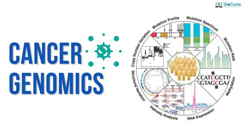 Cancer Genomics Biocode