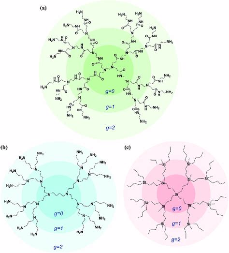 Structures Of The Second Generation Dendrimers G 2 With 16 Terminal