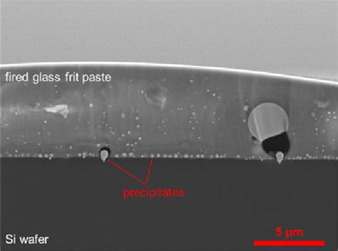 Figure 1 From Characterization Of Glass Frit In Conductive Paste For N Type Crystalline Silicon