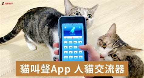 貓叫聲 App「人貓交流器」內建 96 種貓叫聲吸引貓咪注意 效果實測 塔科女子