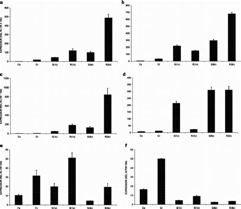 Relative Expression Profiles Compared With The Expression Level In