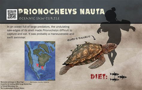 Brian Engh On Twitter Ok So The Giant Turtle Archelon In The Last