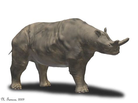 The 10 Deadliest Prehistoric Mammals