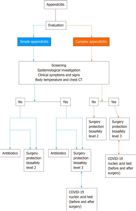 Pathophysiology Of Acute Appendicitis