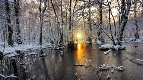 1230x768 Nature Landscape Winter Sunrise Forest Mist Sunlight Snow