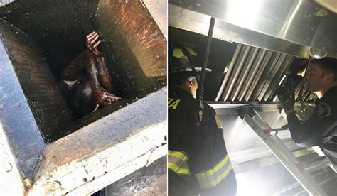 Grease Covered Man Trapped In Chinese Restaurant Vent For Two Days