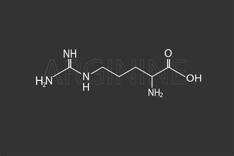 arginine molecular skeletal chemical formula 41454645 Vector Art at ...