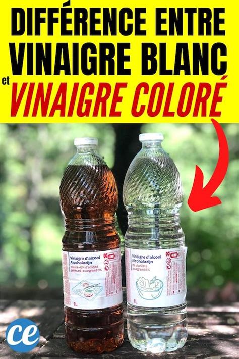 Quelle Est la Différence Entre le Vinaigre Blanc et le Vinaigre Coloré