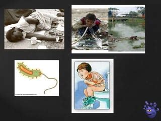 Las Bacterias PPT