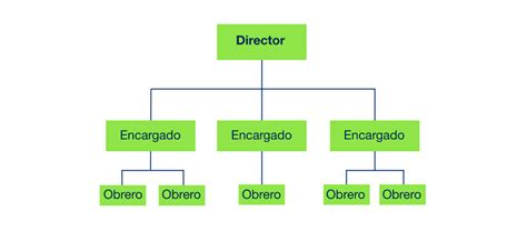 La Importancia Del Organigrama En La Estructura De La Porn Sex Picture