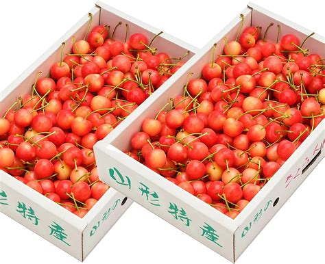 山形県産 さくらんぼ紅秀峰 2kg バラパック 訳あり 果物 Hinoki Designraindropjp